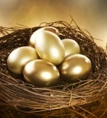 golden nest egg