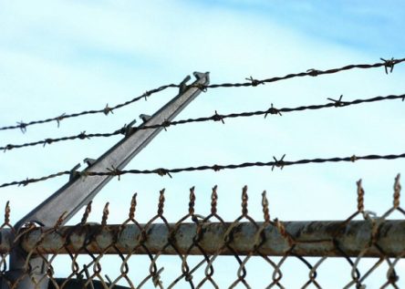 fence