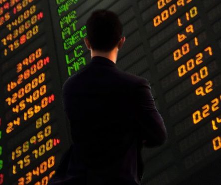man looking at stocks