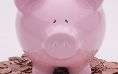 Wanted: Low-cost, low-premium, flexible savings solutions
