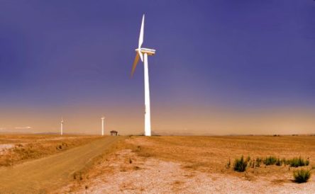 Windfarm
