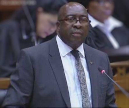 Nhlanhla-Nene-MTB2015