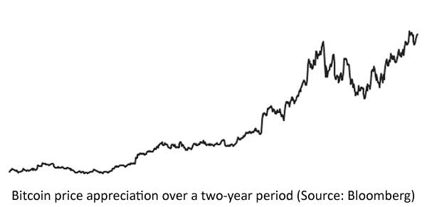 Bitcoin performance graph