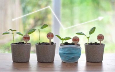 Investment lessons from a horrible year